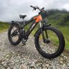 Electric Bike 1000W Motor Fat Tire 26x4 Mountain Bike